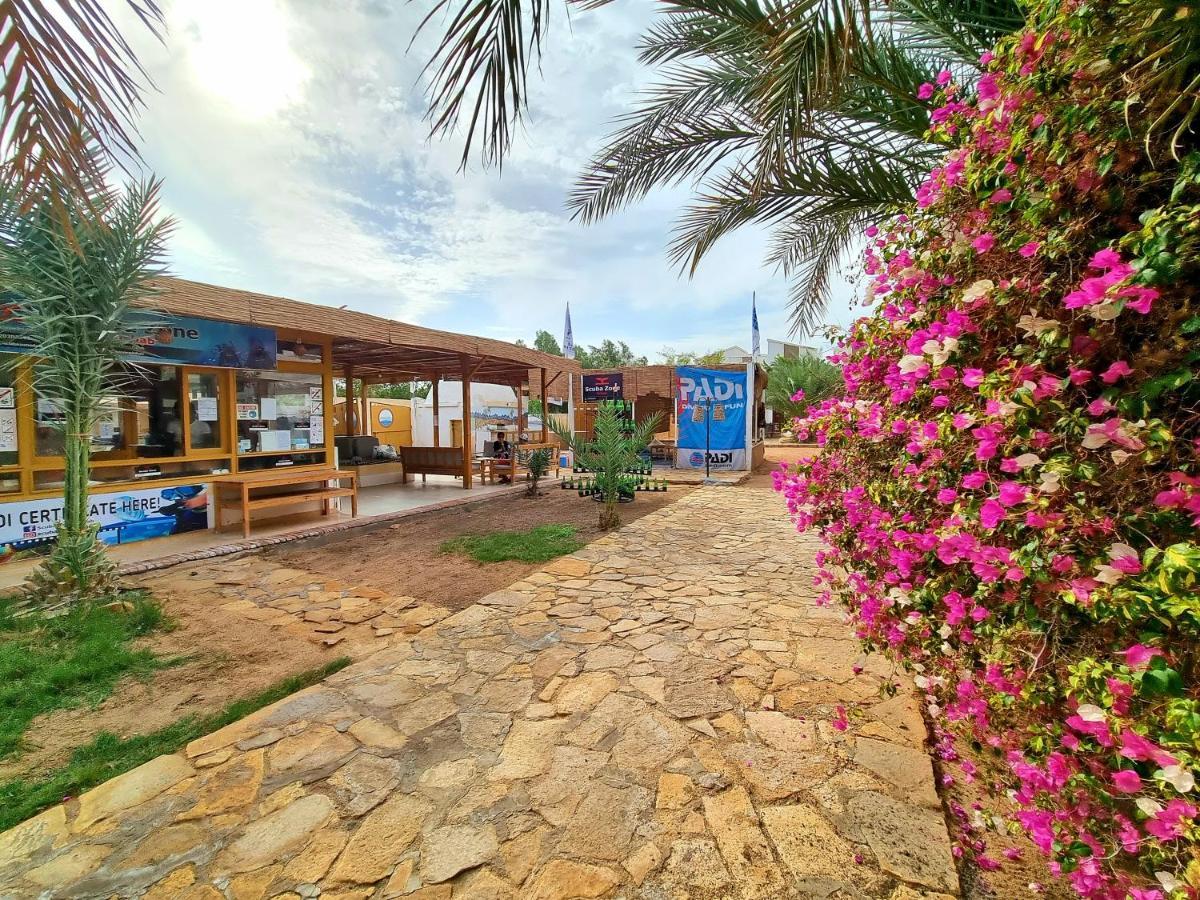 Jowhara Hotel Dahab Exteriör bild