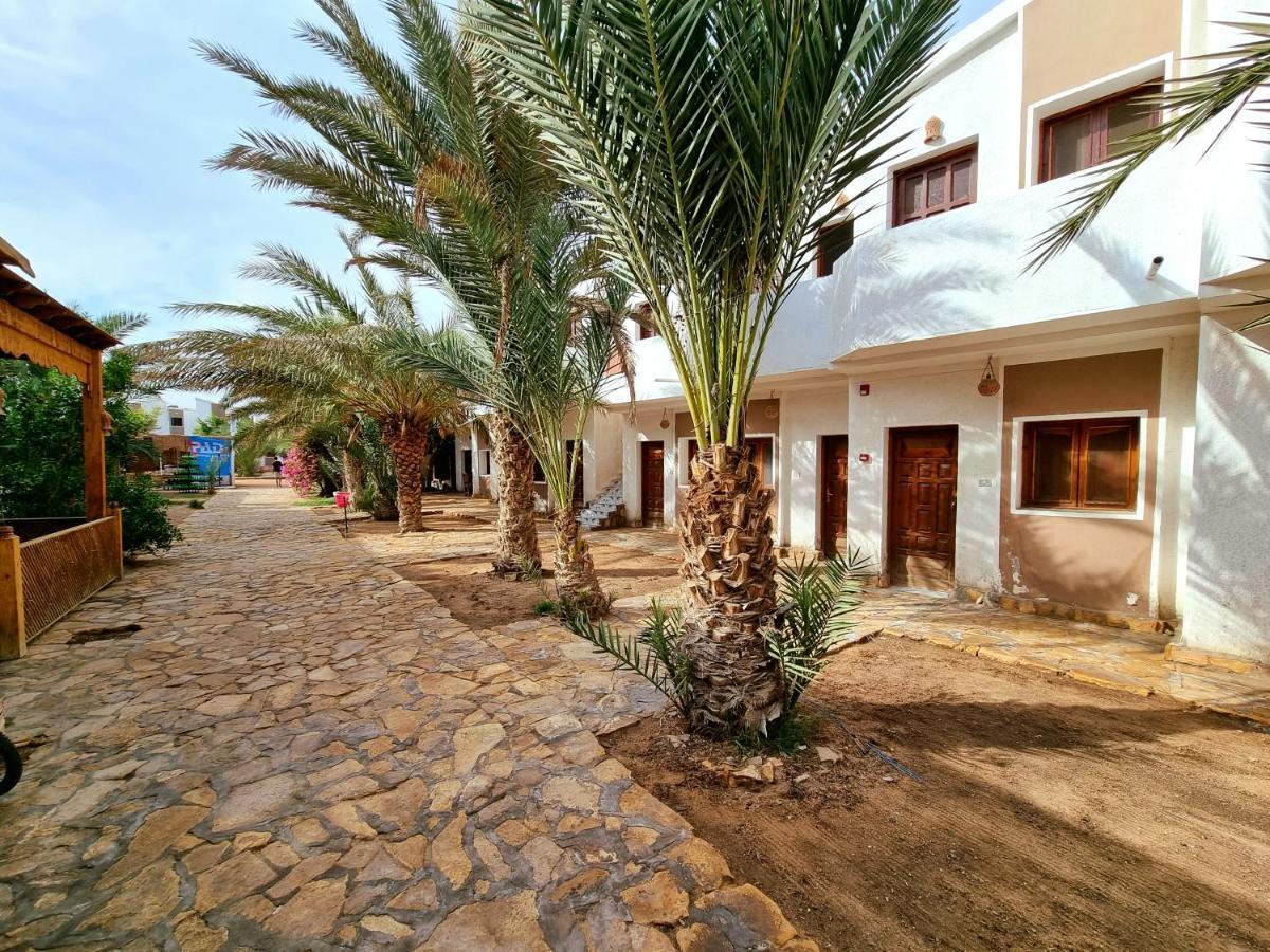 Jowhara Hotel Dahab Exteriör bild