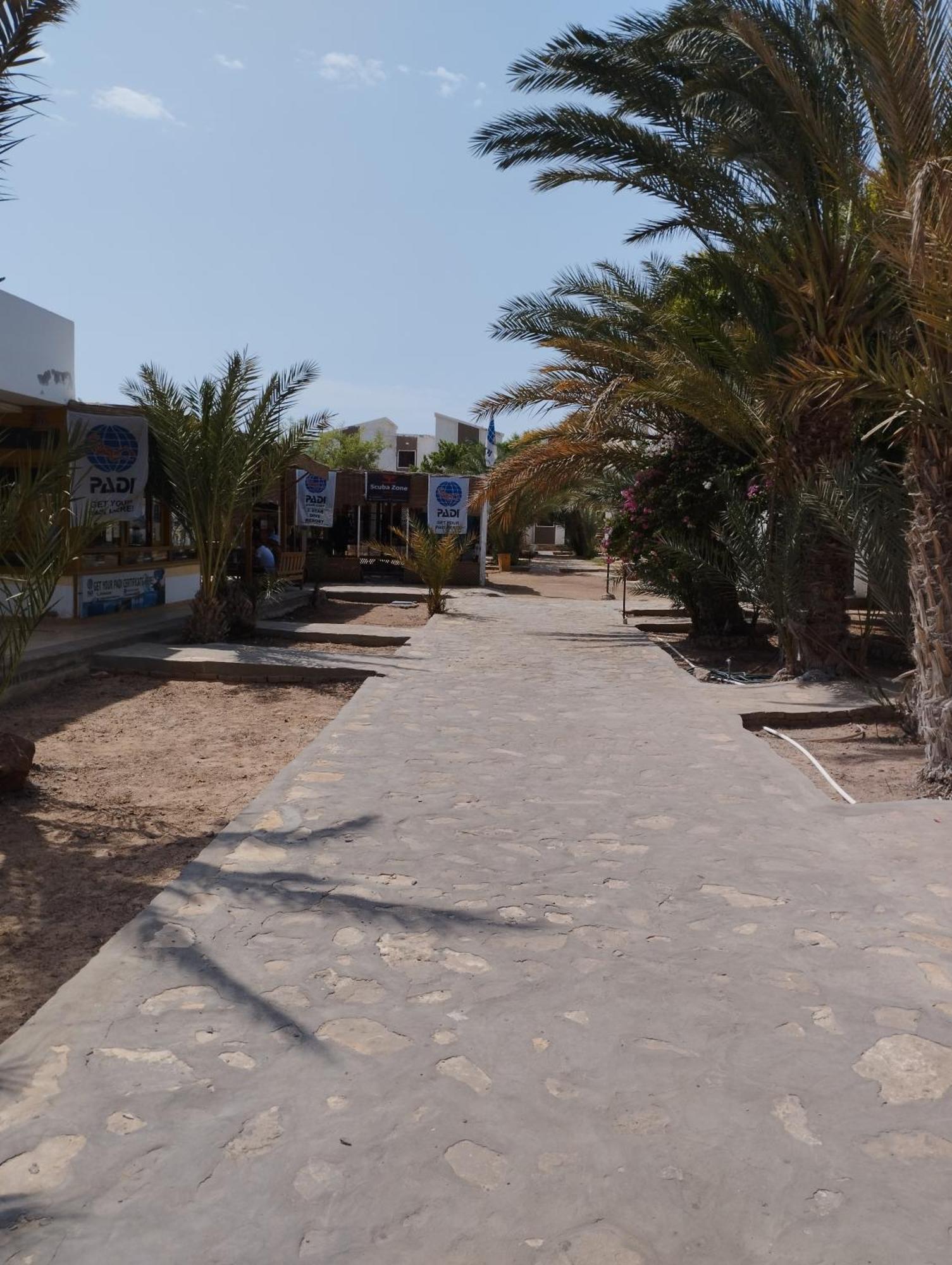 Jowhara Hotel Dahab Exteriör bild