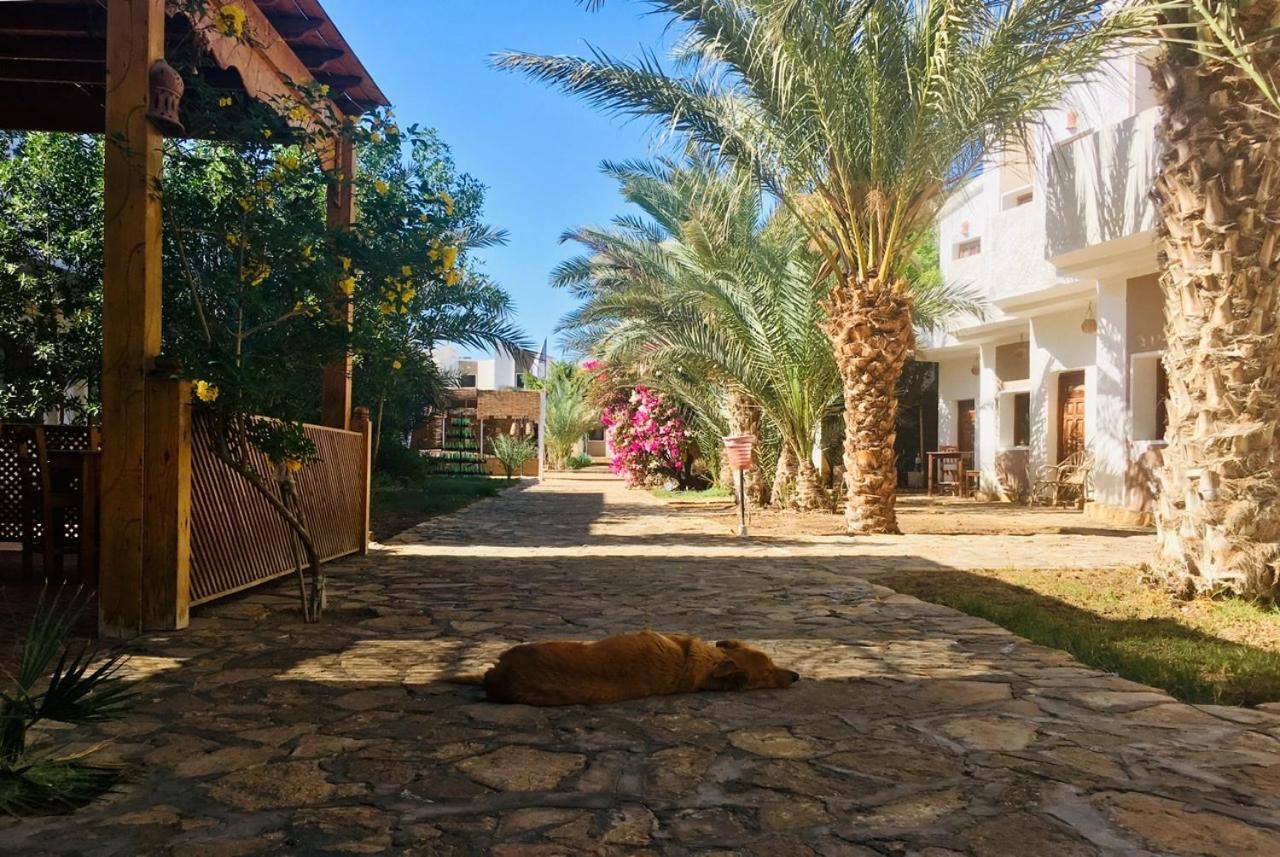 Jowhara Hotel Dahab Exteriör bild
